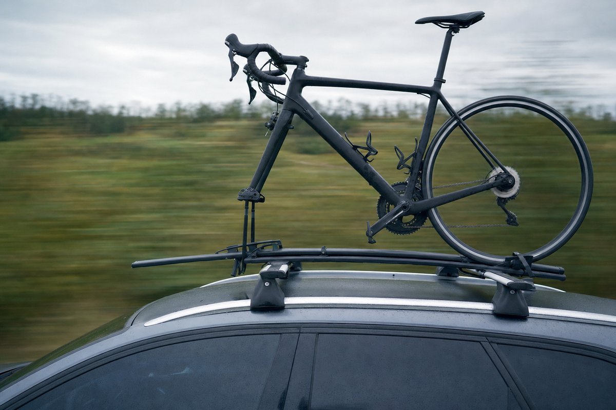 A road bike carried on a car roof rack, the green landscape behind drawn into motion blur (AI-generated image)